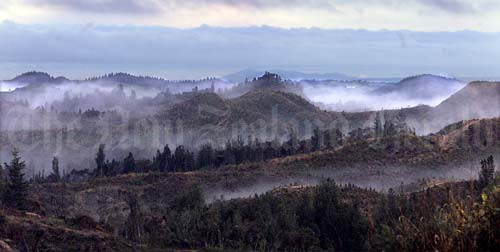 Mist, Rotorua