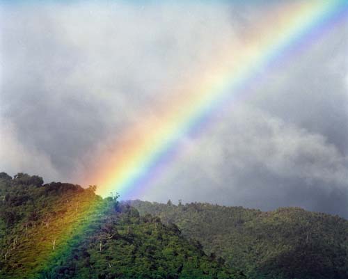 Rainbow