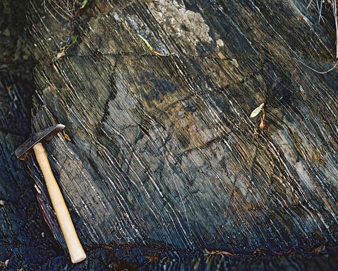 Marlborough schist 