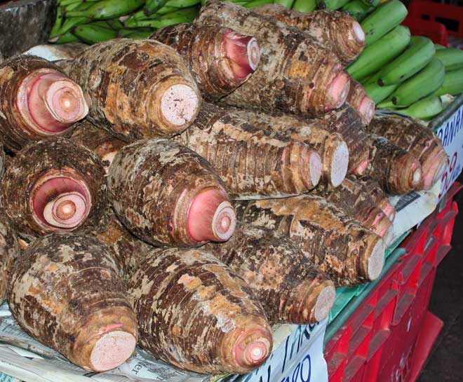 Taro and green bananas