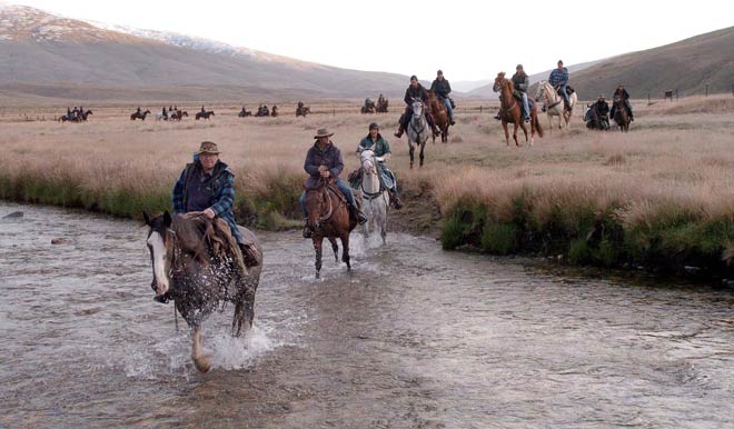 Otago cavalcade, 2005