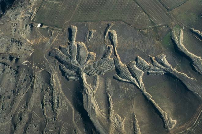 Northburn tailings