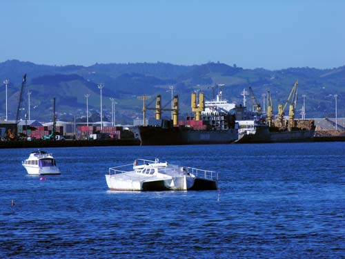 Port of Tauranga
