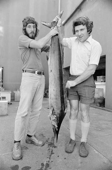 Short-billed spearfish