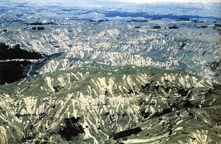 Hawke's Bay slips