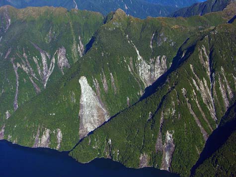 Fiordland, 2003