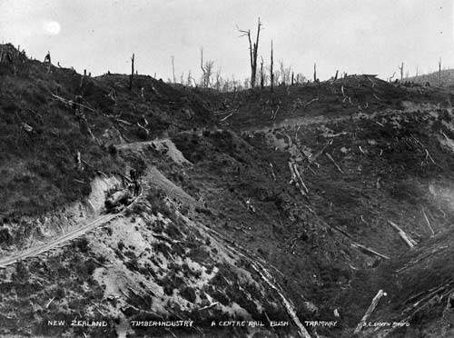 Scorched earth