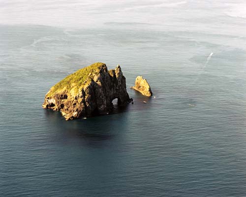 Motu Kōkako – Hole in the Rock