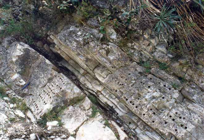 K–T boundary at Woodside Creek