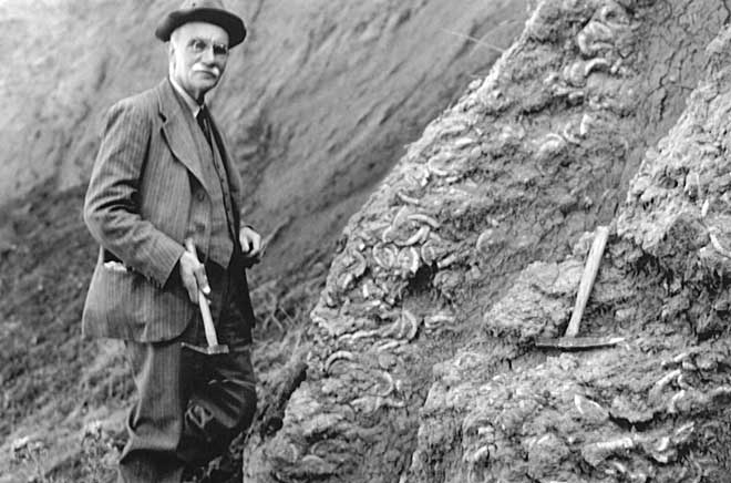 Charles Trechmann at Waipara 