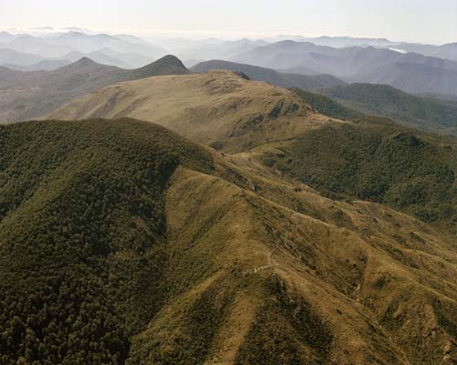 Dun Mountain