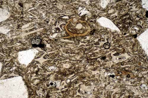 Ignimbrite under the microscope 