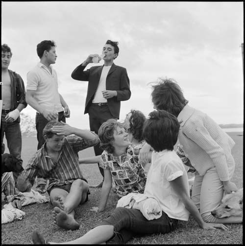 Pt Chevalier, 1964