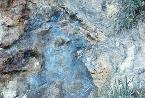 Copper staining, Kawau Island 