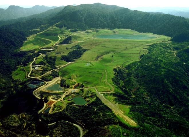 Golden Cross mine, 2001 