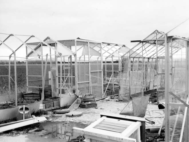 Wrecked glasshouses