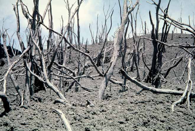Devastation near Green Lake, 1964