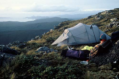 Above the bush line