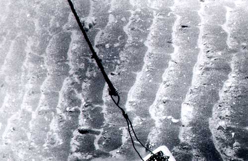 Ripples in seafloor sediment