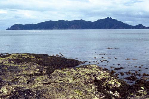 Hen Island 