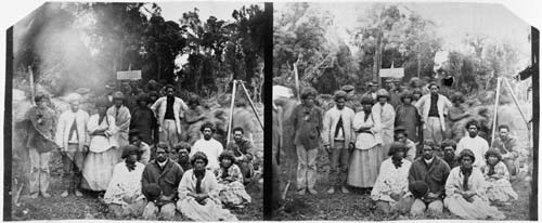 Protesting against a survey, Pokeno