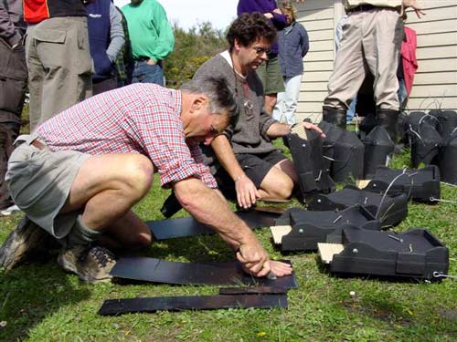 Monitoring long-tailed bats