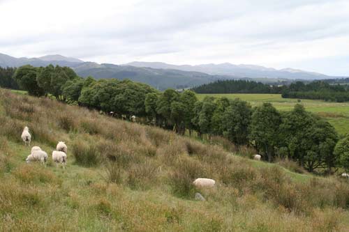 Hunters Hills
