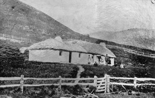 Mt Cook homestead