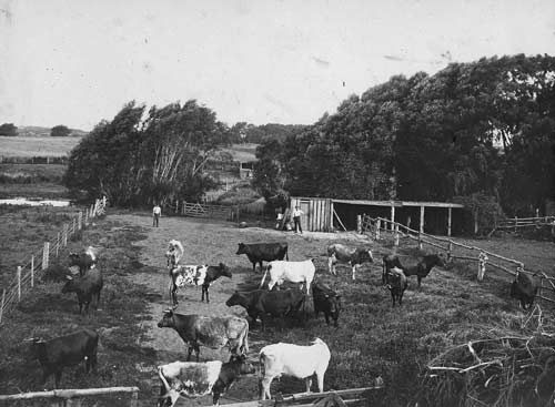 Mixed farming