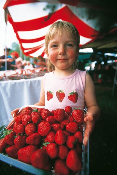 Waimate strawberries