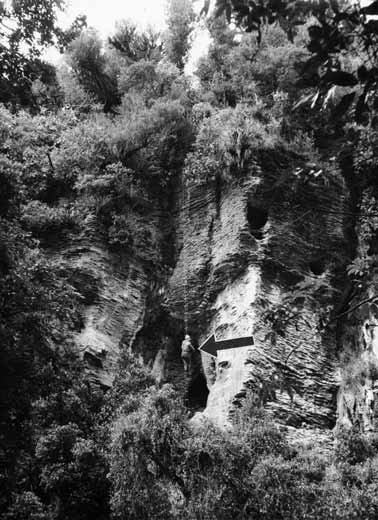 Rope ladder