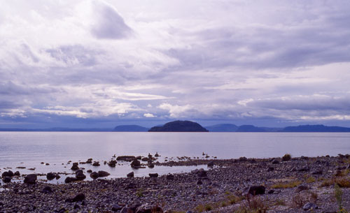 Motutaiko