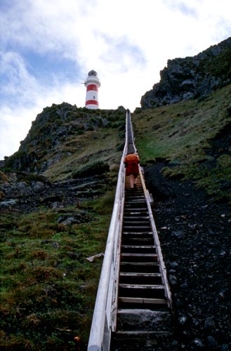 Cape Palliser lighthouse