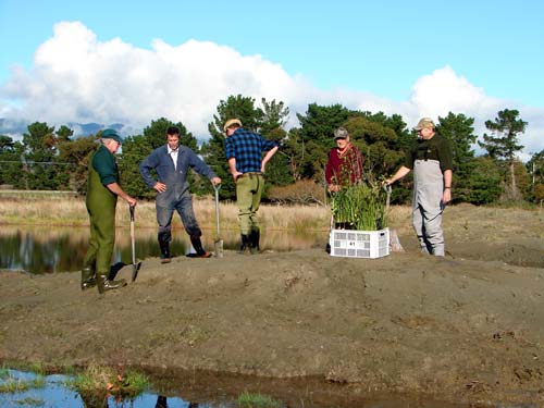 Restoring habitat