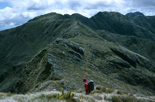 Looking north from Jumbo