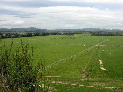 Dairy country
