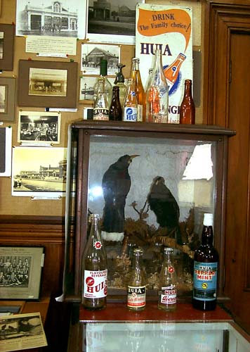 Stuffed huia