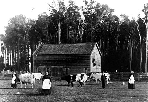 The Wrigleys’ small farm