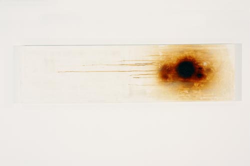 New art by Tongan New Zealanders 