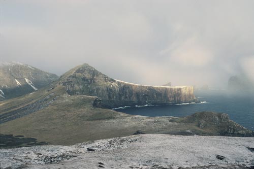 Campbell Island 