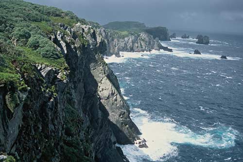 Snares Islands 