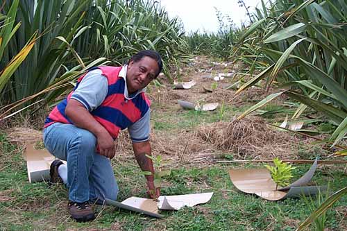 Marokopa Wiremu-Matakātea at Lake Horowhenua