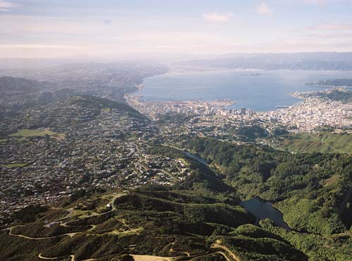 Wellington Fault