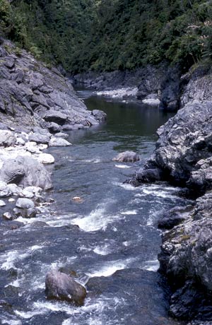 Ōtaki River gorge 