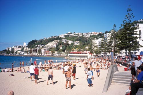 Wellington’s Riviera