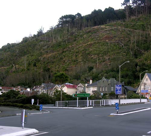 Tinakori Hill