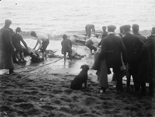 Wreck of the Penguin