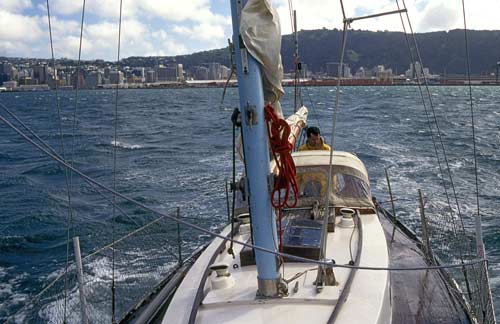 Harbour pursuits