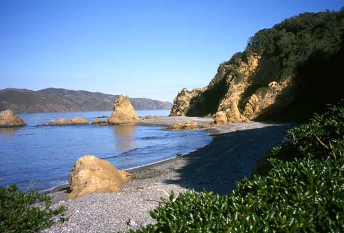 Mākaro 