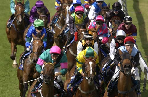 Racing at Trentham